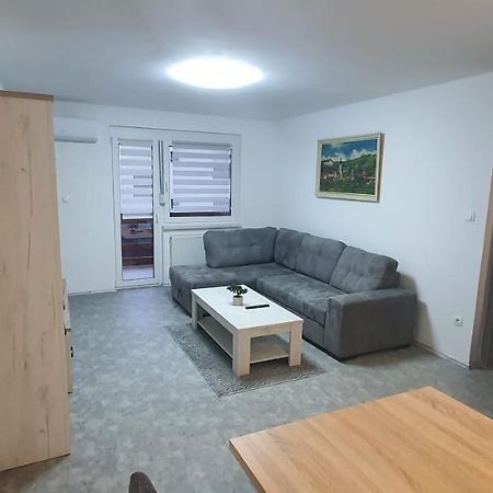 Apartma Sivi Zako 보히니 외부 사진