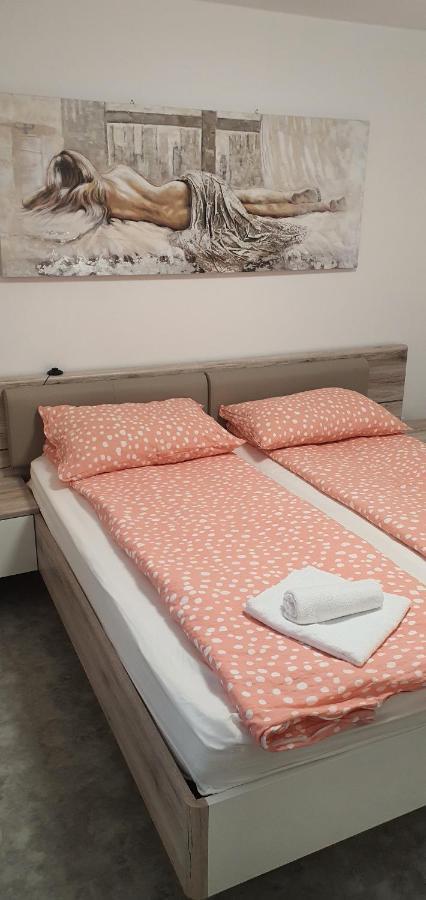 Apartma Sivi Zako 보히니 외부 사진